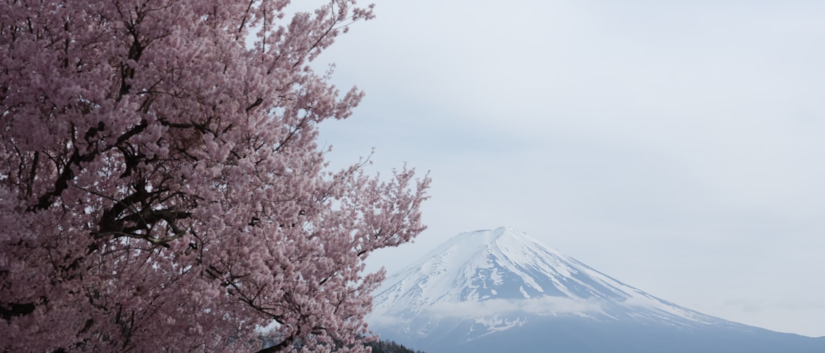 Japan Travel Guide 2026
