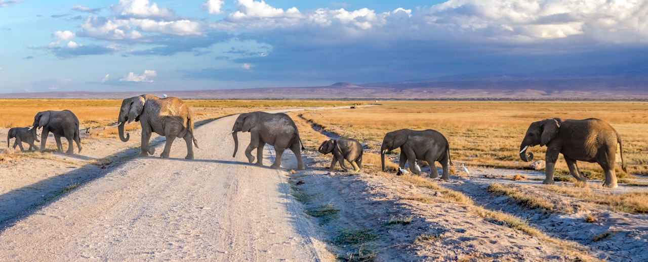 Amboseli National Park