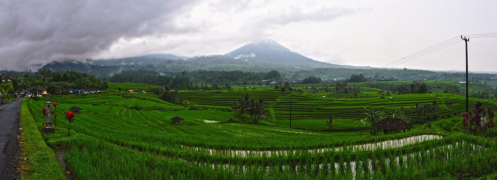 Asia