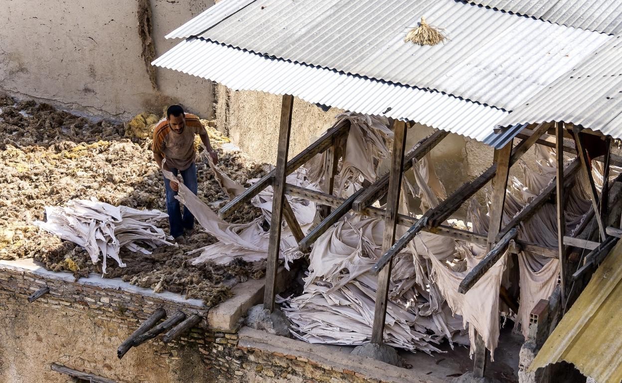 Fez Medina & the Chouara Tanneries