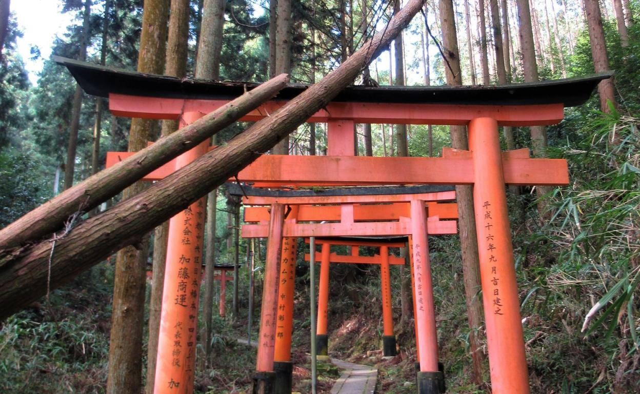 Kyoto & Fushimi Inari