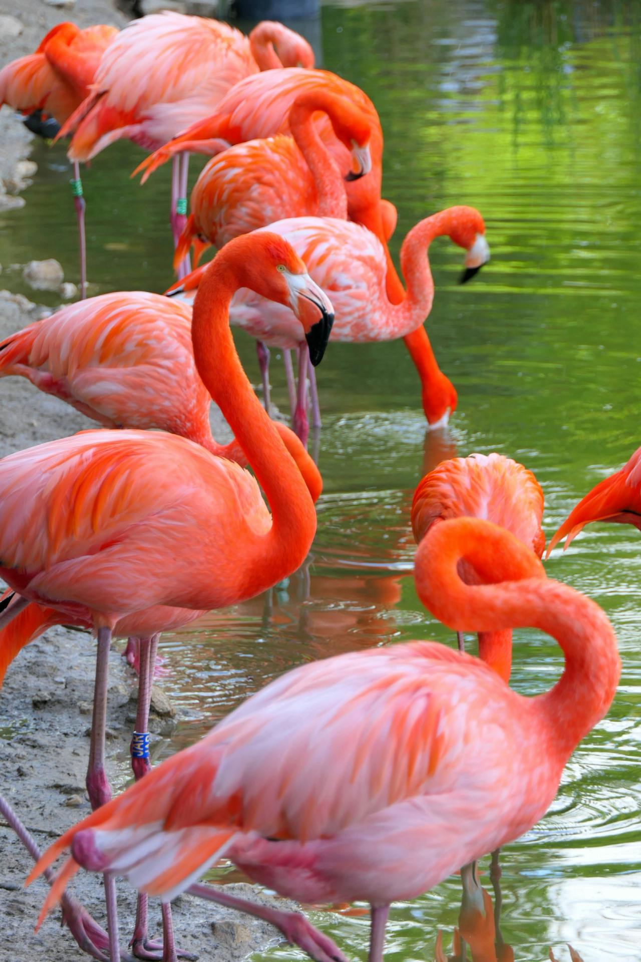 Lake Nakuru National Park