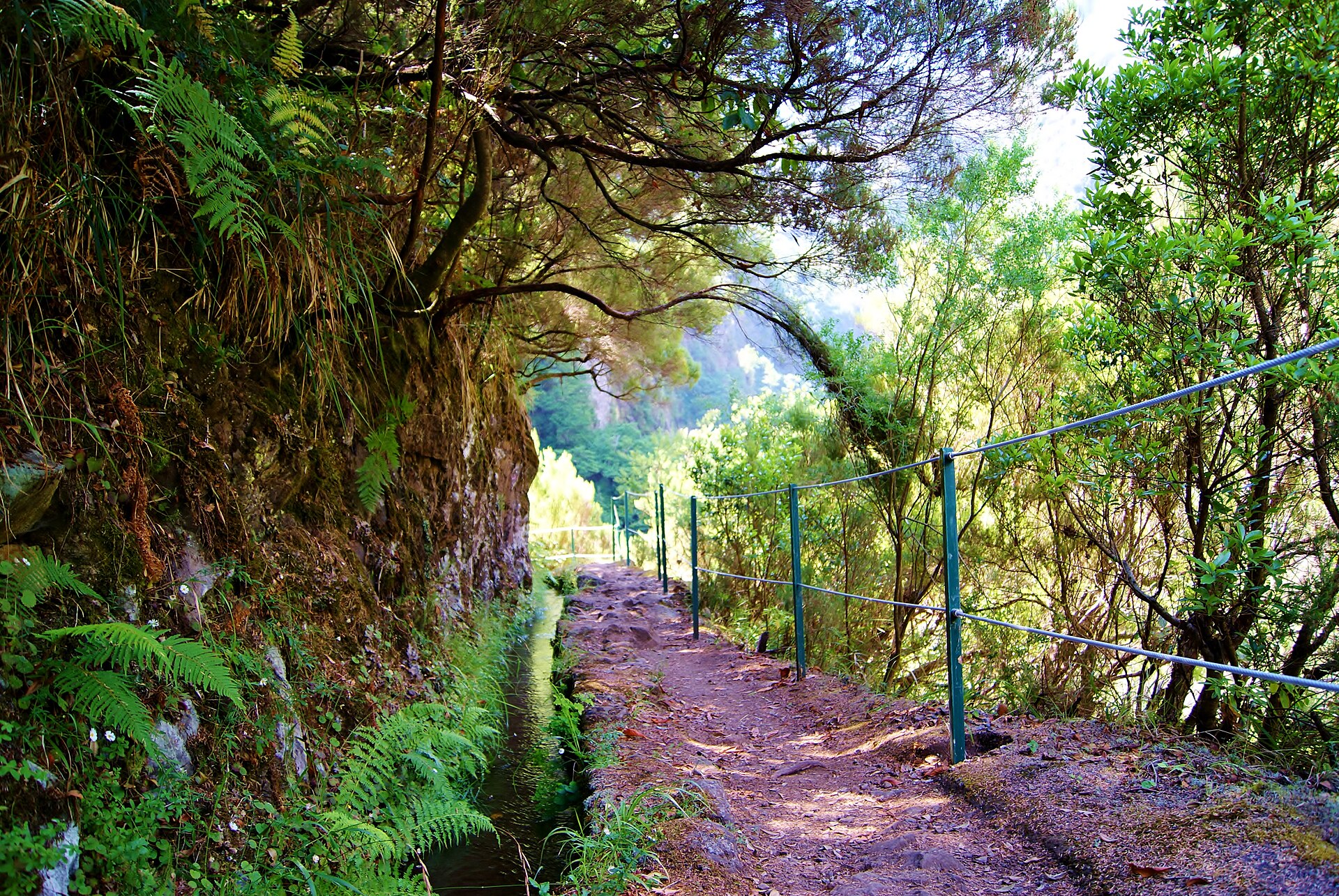 Madeira Island