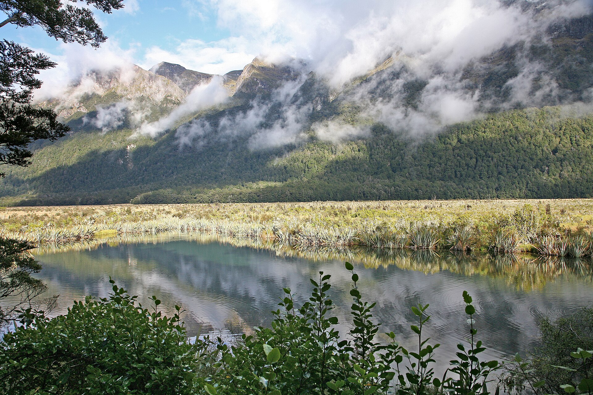 Milford Sound & Fiordland