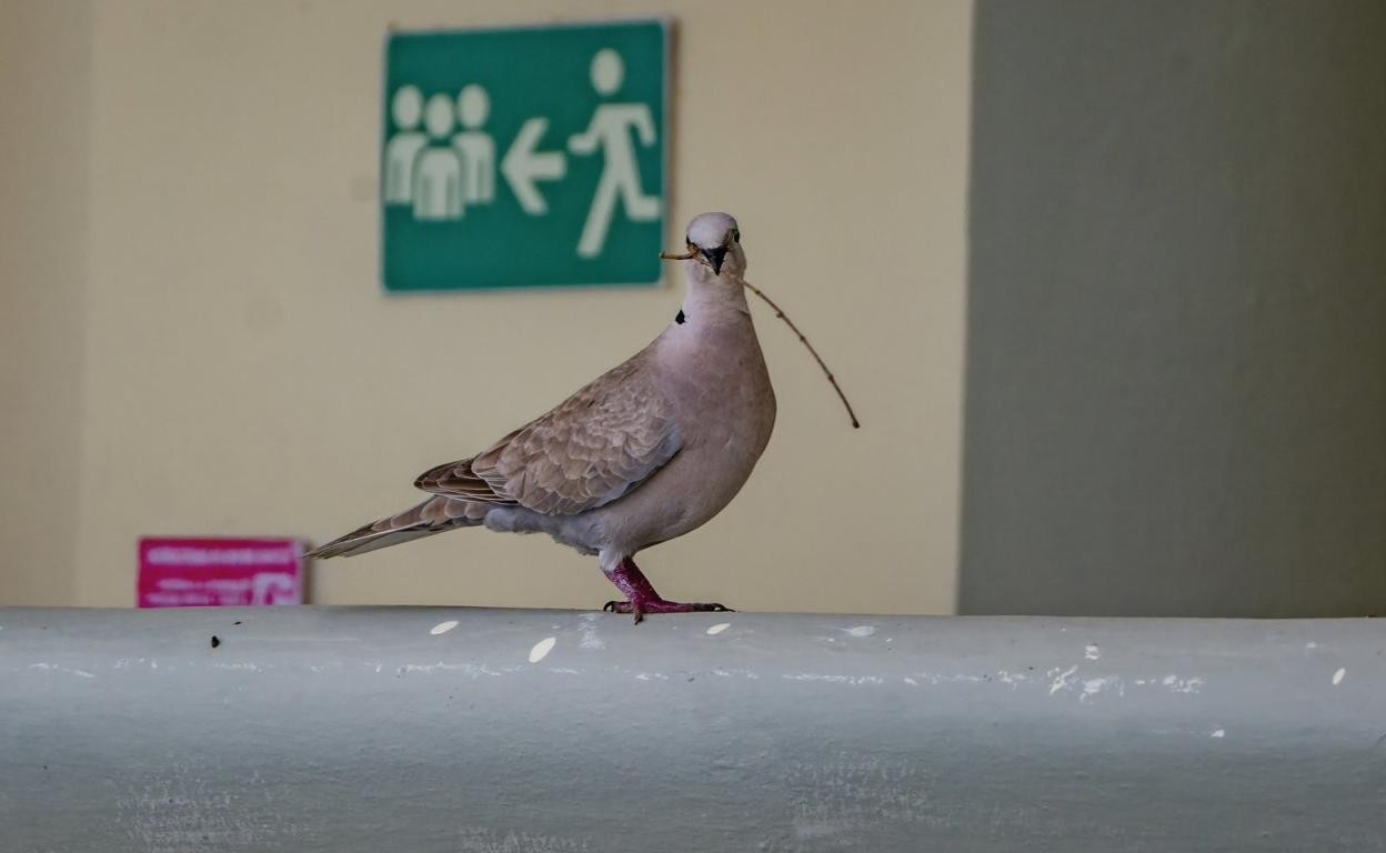 Dominican Republic — Punta Cana